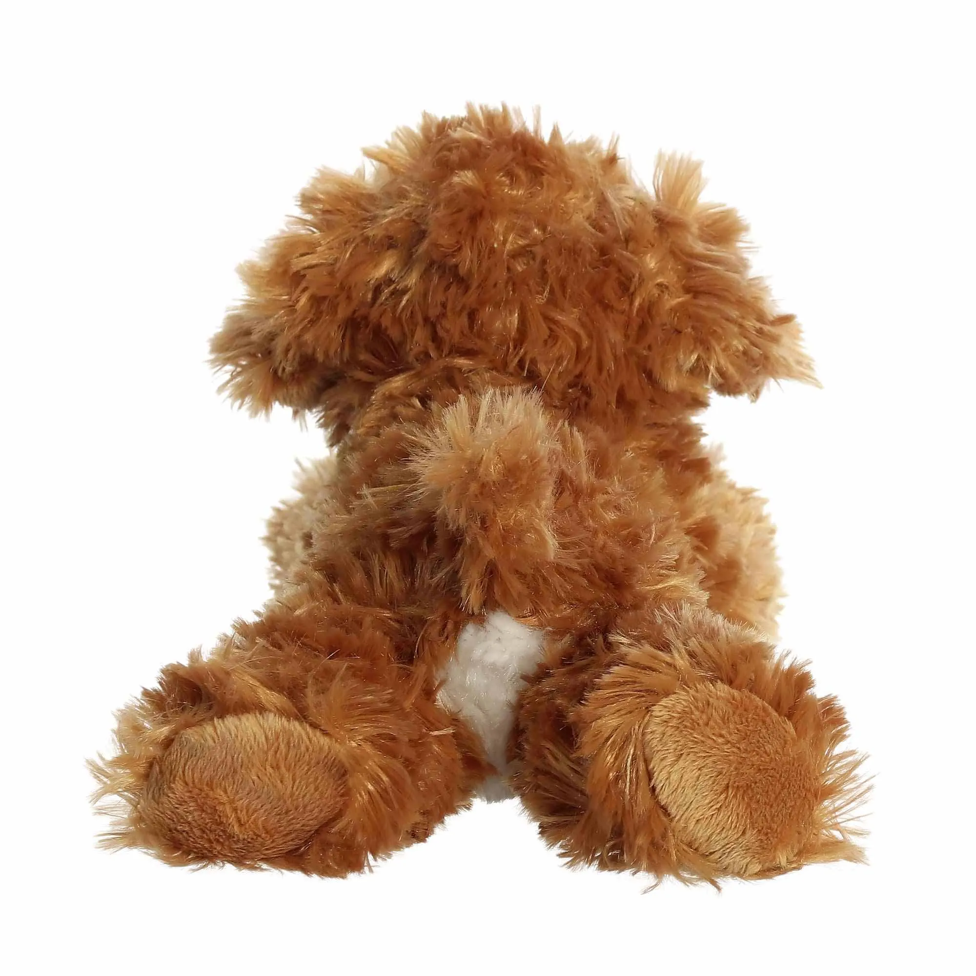 AURORA CHAI COCKAPOO