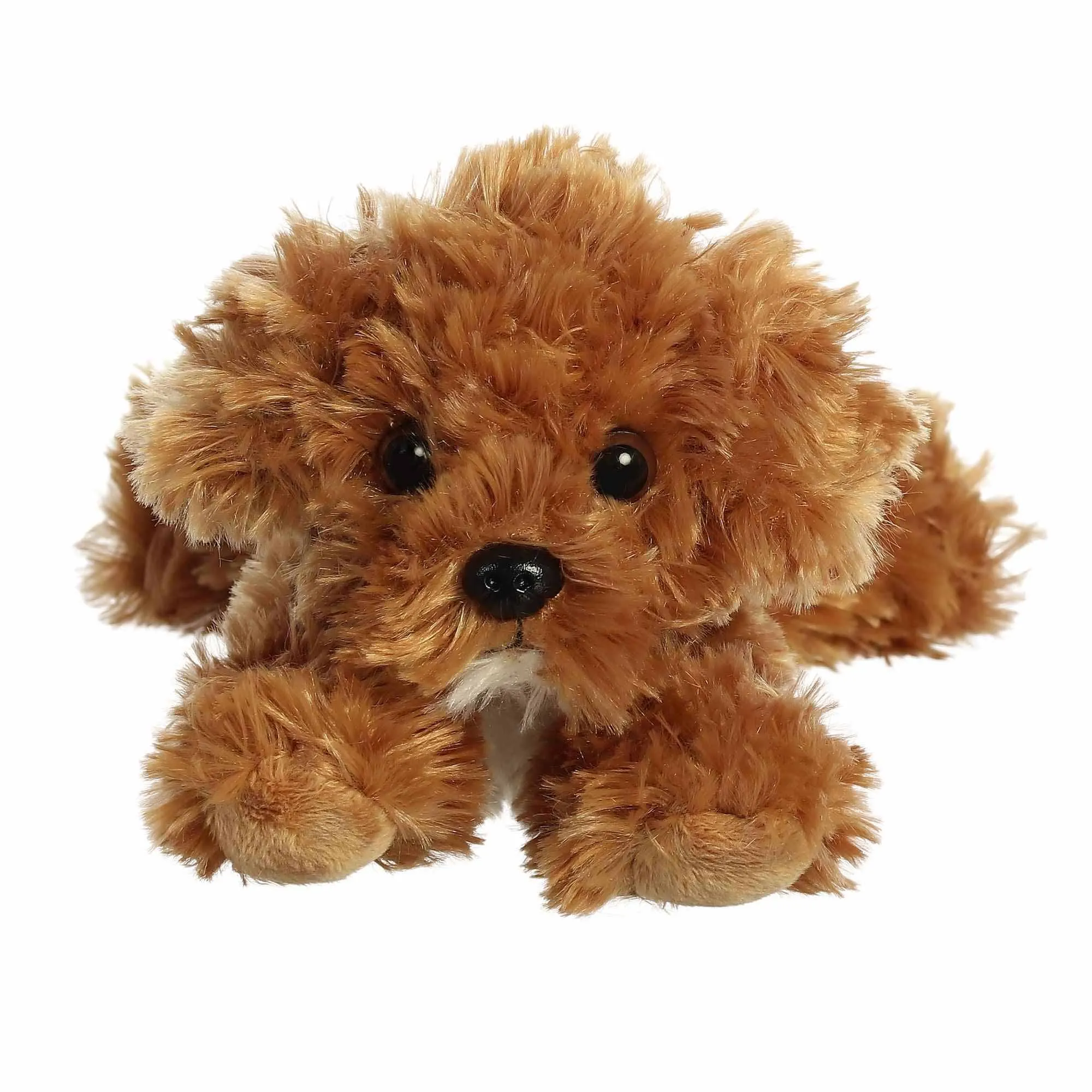 AURORA CHAI COCKAPOO