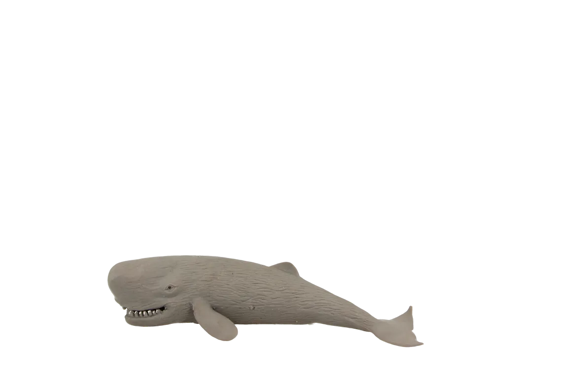 Fumfings Stretchy Beanie Sperm Whale