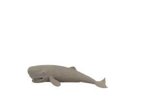 Fumfings Stretchy Beanie Sperm Whale