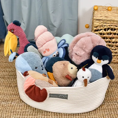 Histoire d'Ours Penguin - 25cm