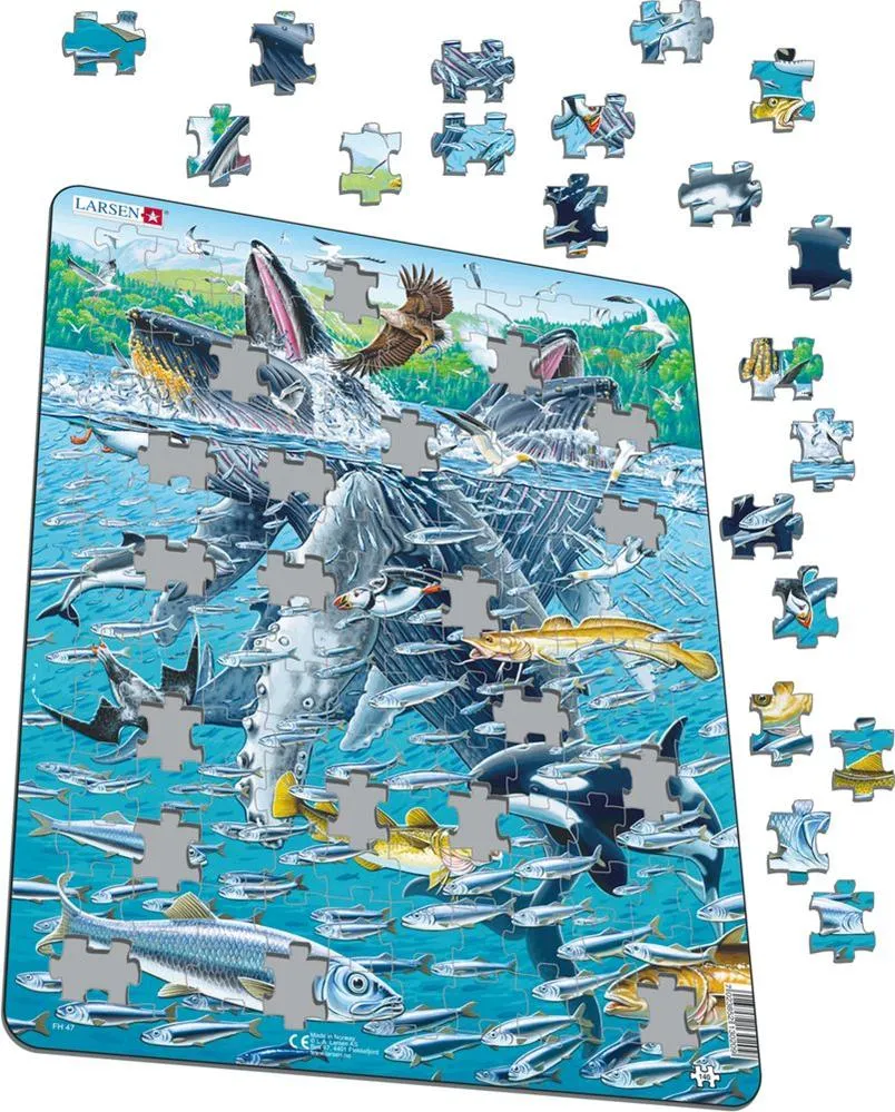 Larsen Humpback Whales Frame Tray Puzzle
