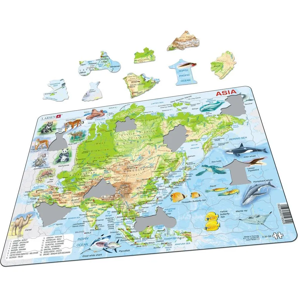 Larsen Map Of Asia Frame Tray Puzzle