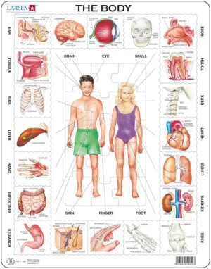 Larsen The Body Frame Tray Puzzle