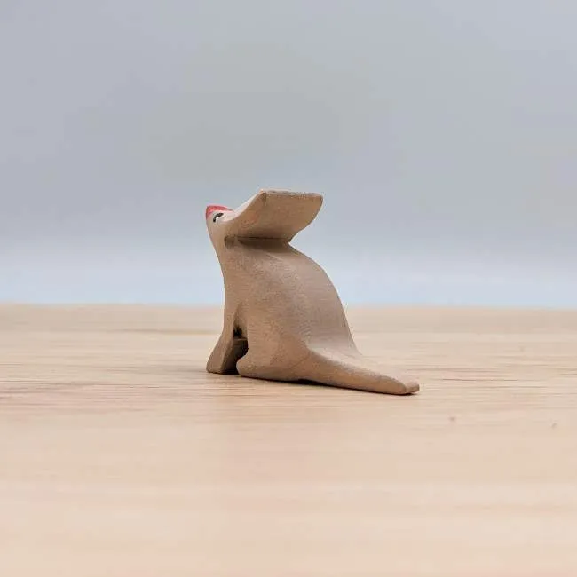 NOM Handcrafted | Bilby Stargazing
