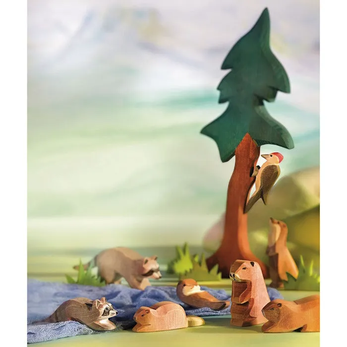 Ostheimer | Beaver Lying