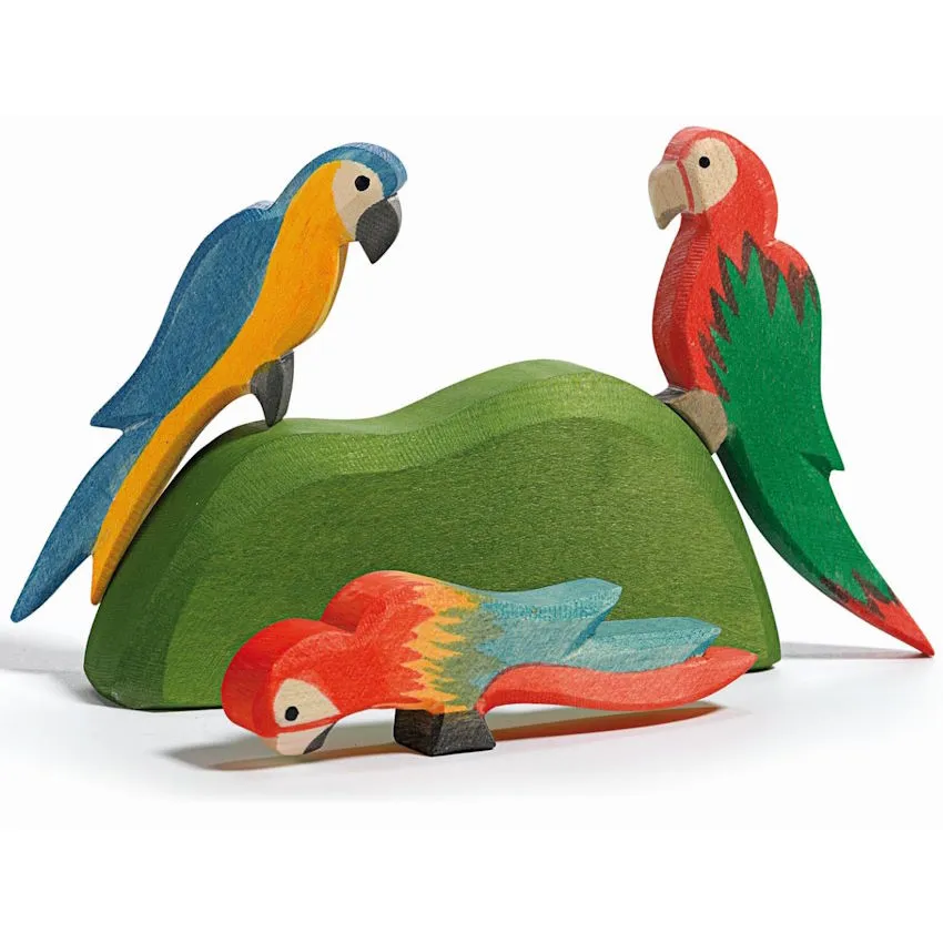 Ostheimer | Birds | Parrot Multicolour