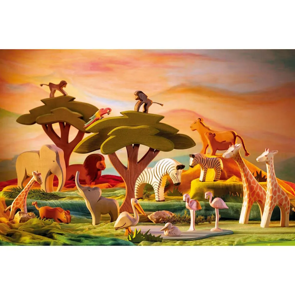 Ostheimer | Birds | Parrot Multicolour