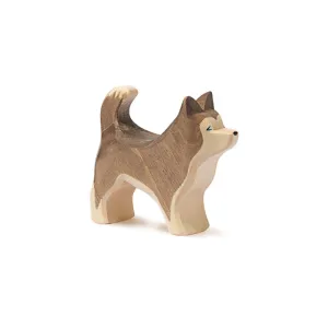 Ostheimer | Sled Dog Standing