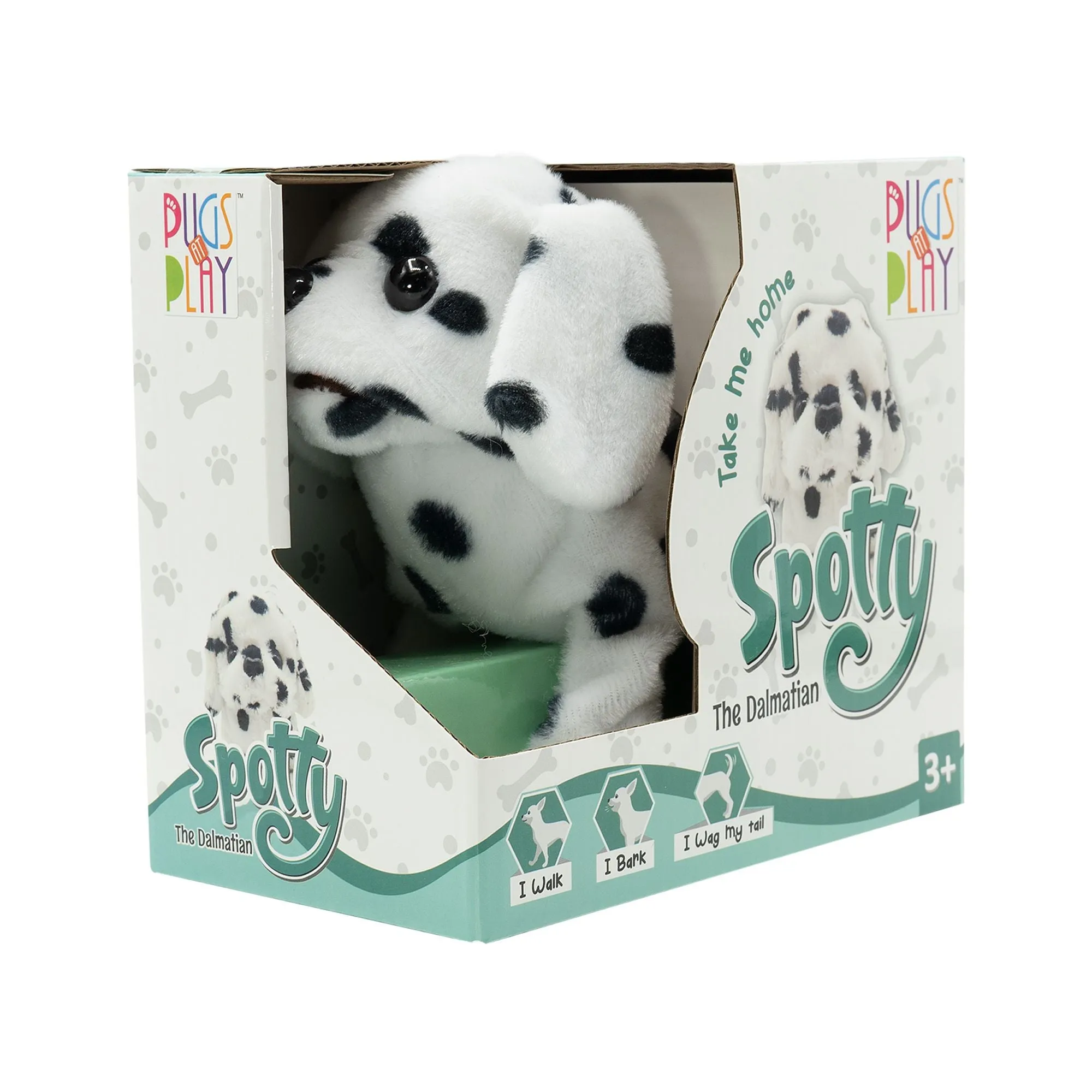 Pugs At Play Spotty The Dalmatian Walking Dog