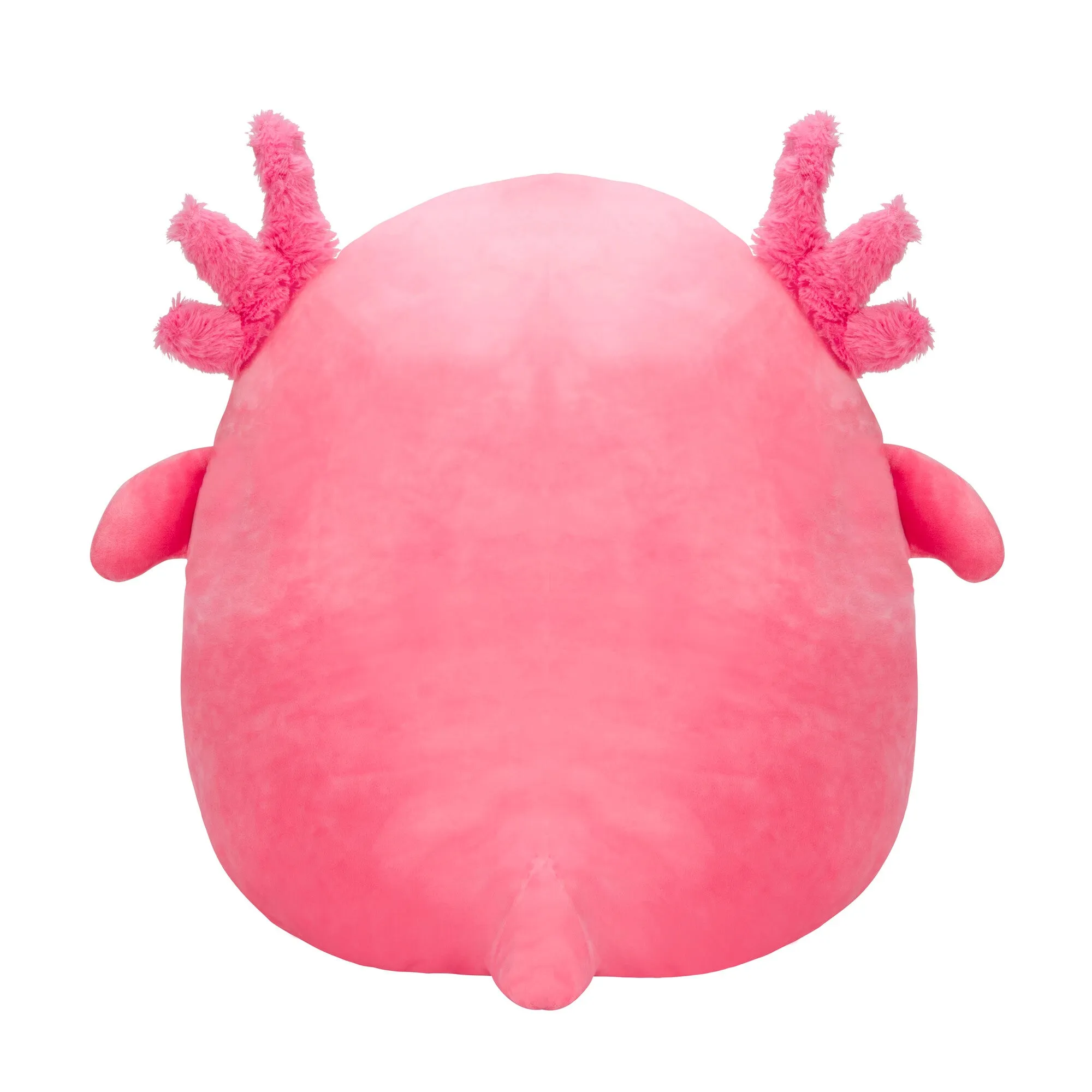 Squishmallows 12 Inch Plush S17 Archie Pink Axolotl
