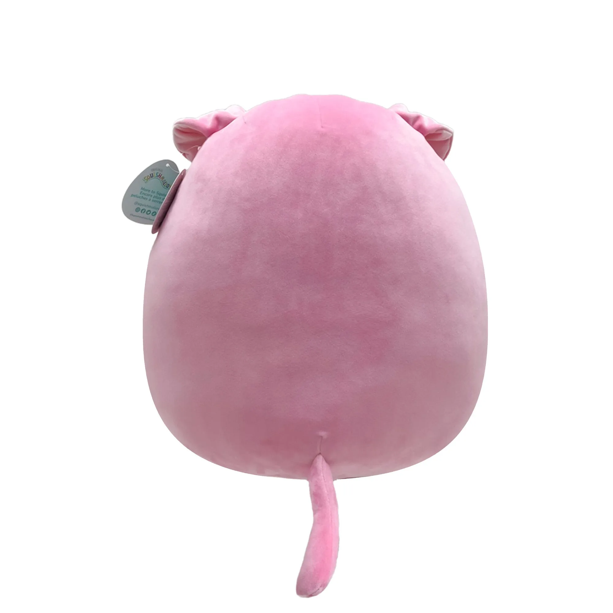 Squishmallows 16 Inch (40cm) Plush Geraldine