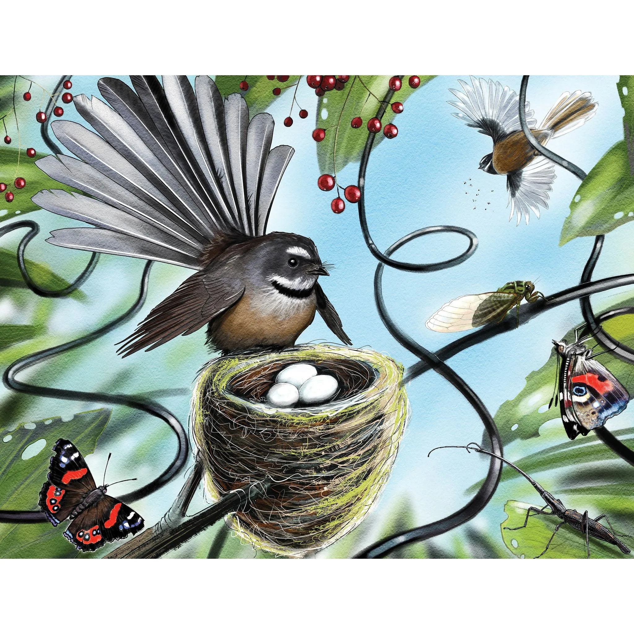 Treasures Of Aotearoa Series 4 96PC