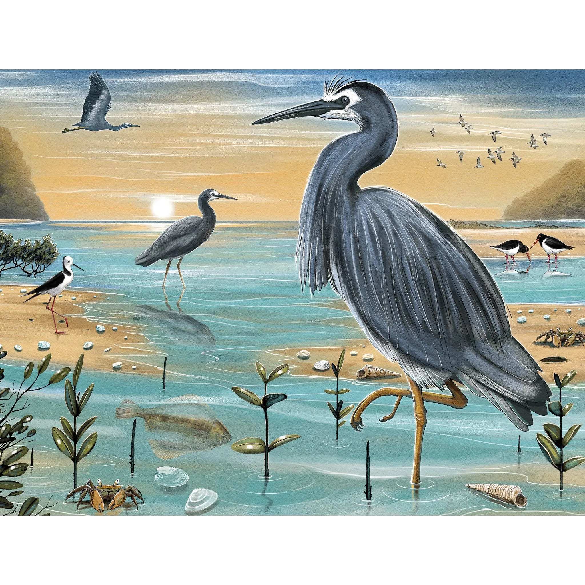 Treasures Of Aotearoa Series 4 96PC