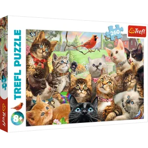 TREFL 260 PIECE PUZZLE KITTENS