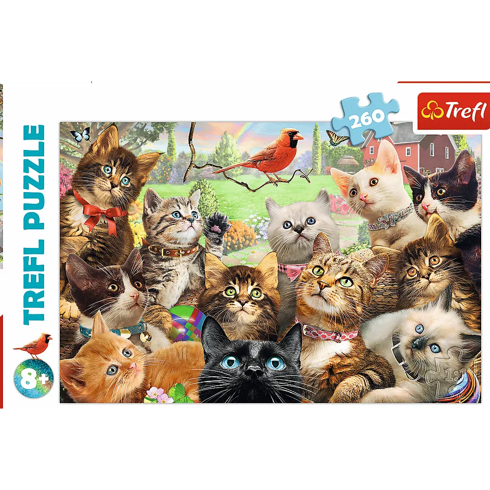 TREFL 260 PIECE PUZZLE KITTENS