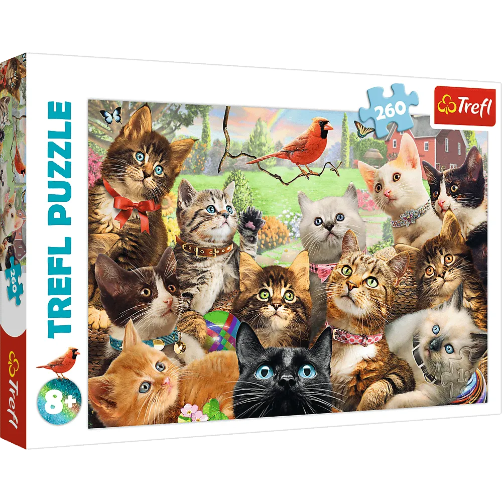 TREFL 260 PIECE PUZZLE KITTENS