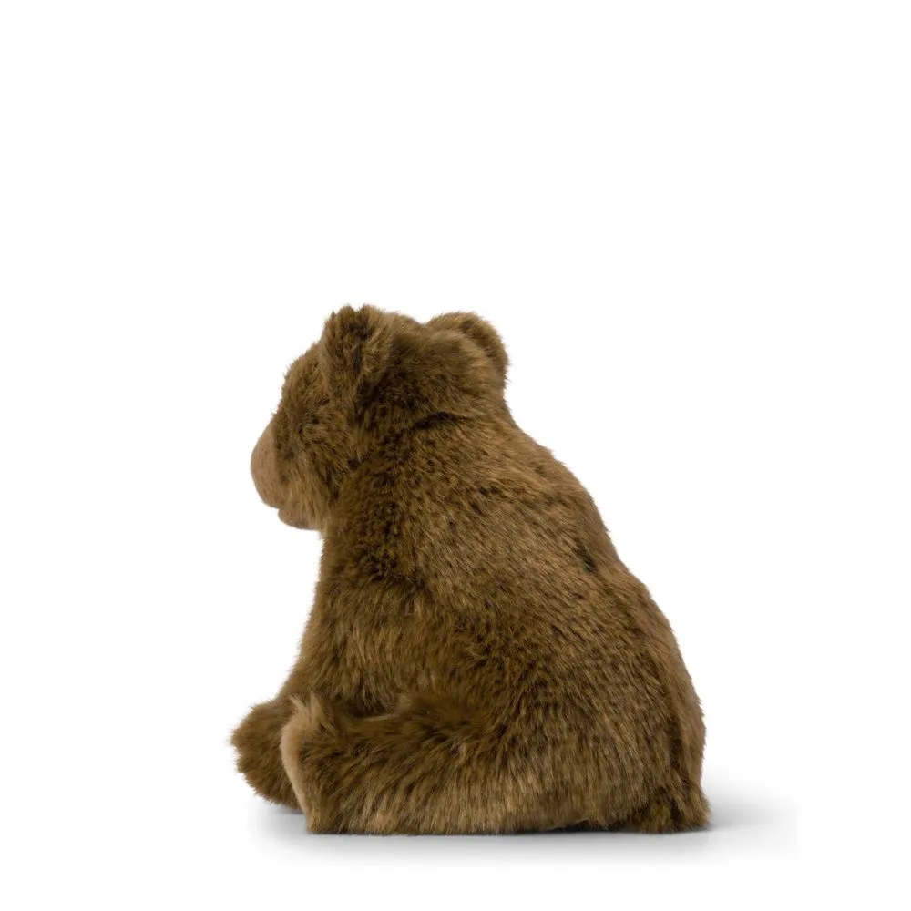 WWF Bon Ton Toys X WWF Grizzly Bear Floppy - 15 cm - 6''
